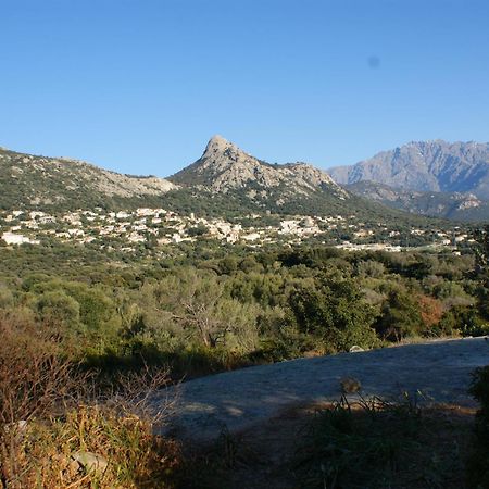 Belle Location Sur Lumio Avec Vue Remarquable Et Jardin Villa Eksteriør bilde
