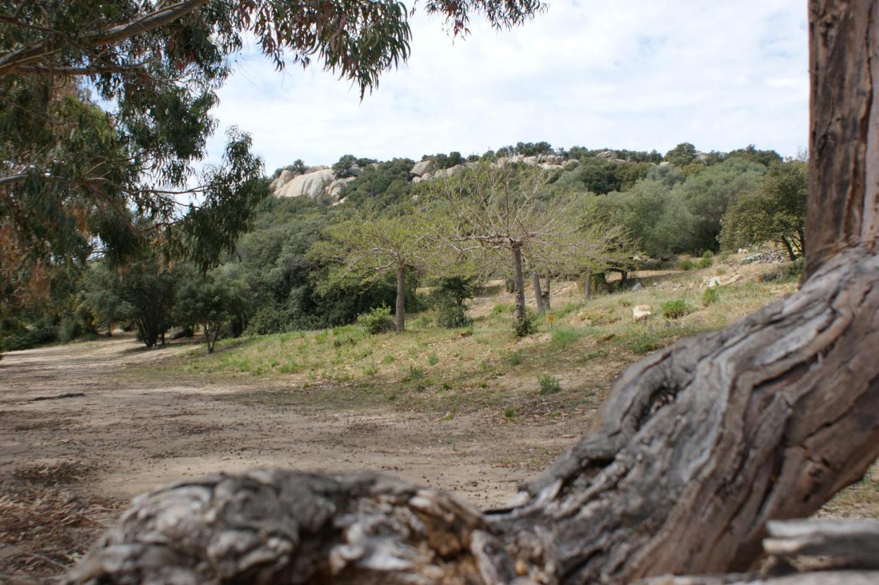 Belle Location Sur Lumio Avec Vue Remarquable Et Jardin Villa Eksteriør bilde