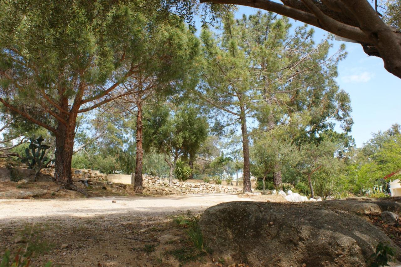 Belle Location Sur Lumio Avec Vue Remarquable Et Jardin Villa Eksteriør bilde