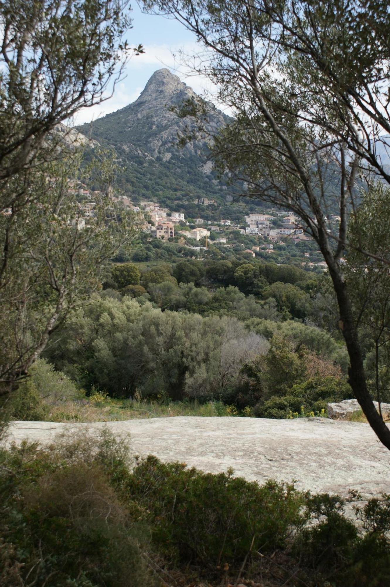 Belle Location Sur Lumio Avec Vue Remarquable Et Jardin Villa Eksteriør bilde
